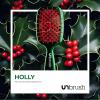 imageUNbrush Mini Holiday Hair Brush for PainFree Brushing On All WetDry Hair TypesHolly Green