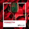 imageUNbrush Mini Holiday Hair Brush for PainFree Brushing On All WetDry Hair TypesPoinsetta Red
