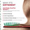 imageUNbrush Mini Holiday Hair Brush for PainFree Brushing On All WetDry Hair TypesPoinsetta Red